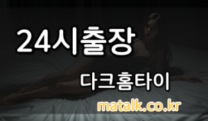 성남다크홈타이